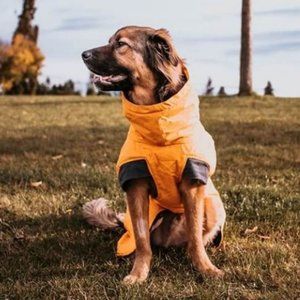 Hurtta Expedition Insulated Dog Parka - Buckthorn 16XS - Dachshund/Corgi